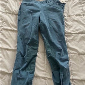 COPY - Gorgeous blue Tailored Sportsman Breeches